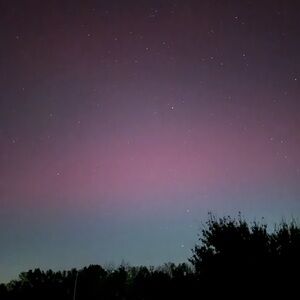 Meet your Posher, Tracey